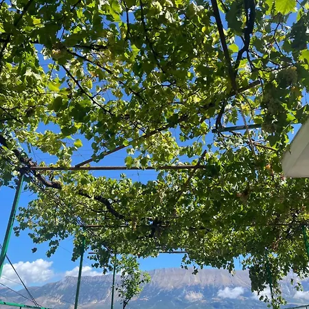 Nafo 招待所 Gjirokastër